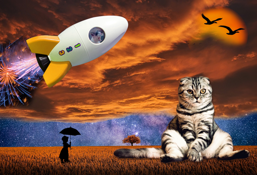 Cat sitting in a surreal, spacey world with a toy spaceship and the silhouette of a lady with an umbrella